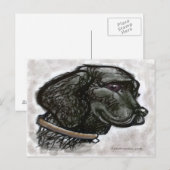 Labrador Retriever Postkarte (Vorne/Hinten)
