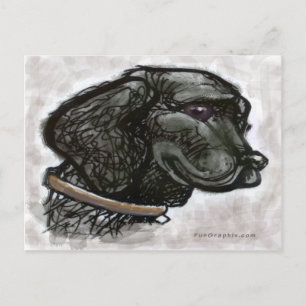 Labrador Retriever Postkarte
