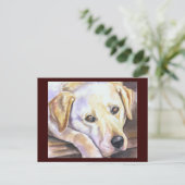 Labrador Retriever Postkarte (Stehend Vorderseite)