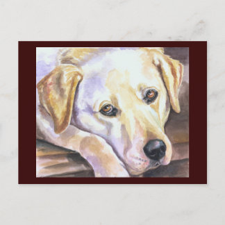 Labrador Retriever Postkarte