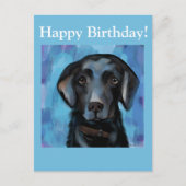 Labrador Retriever Postkarte (Vorderseite)