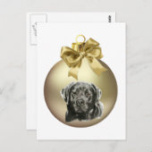 Labrador Retriever Postkarte (Vorne/Hinten)