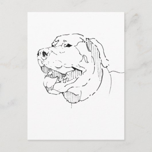 Labrador Retriever Postkarte – Handgezeichnete Tin (Vorderseite)