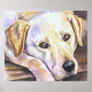 Labrador Retriever Print Poster