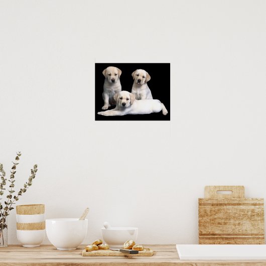 Labrador Retriever Puppies Print Poster (Küche)