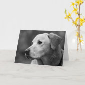 Labrador Retriever Puppy Blank Note Card Karte (Gelbe Blume)