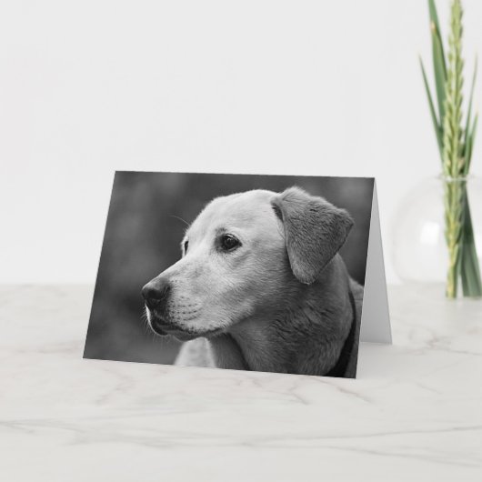 Labrador Retriever Puppy Blank Note Card Karte (Vorderseite)