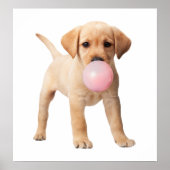 Labrador Retriever Puppy Bubble Gum Kinderzimmer C Poster (Vorne)
