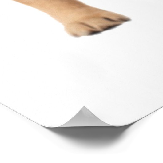 Labrador Retriever Puppy Bubble Gum Kinderzimmer C Poster (Ecke)