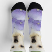 Labrador Retriever Puppy Painting Original Dog Art Socken (Oben)