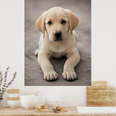 Labrador Retriever Puppy Poster (Küche)