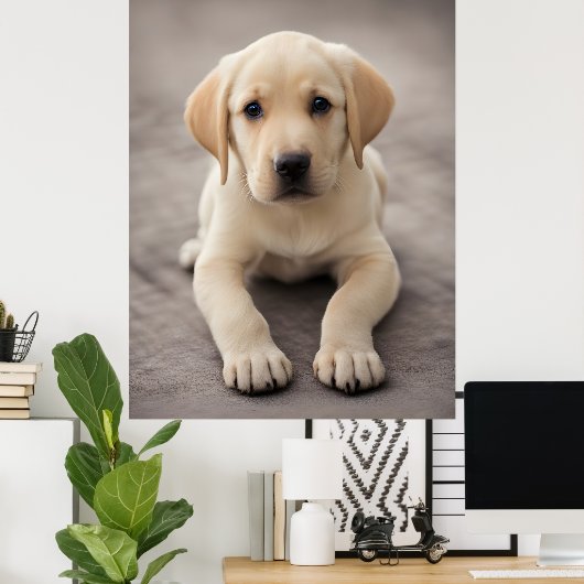 Labrador Retriever Puppy Poster (Heimbüro)