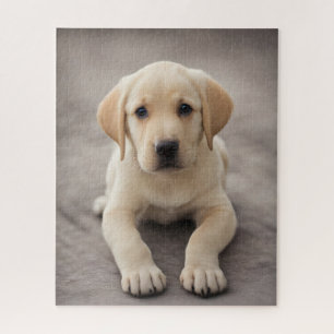 Labrador Retriever Puppy Puzzle
