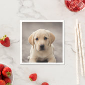 Labrador Retriever Puppy Serviette (Beispiel)