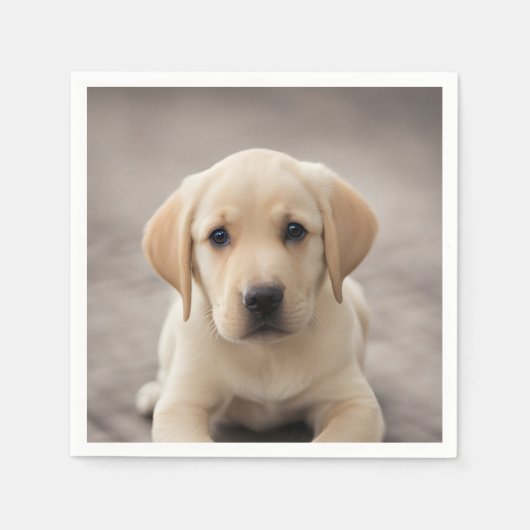 Labrador Retriever Puppy Serviette (Vorderseite)