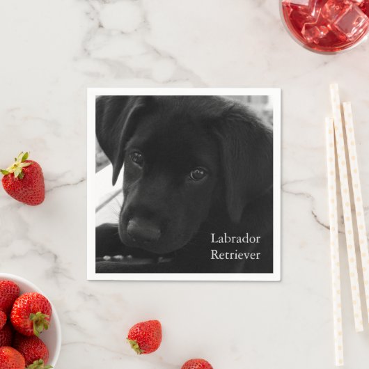 Labrador Retriever Puppy Serviette (Beispiel)