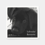 Labrador Retriever Puppy Serviette (Vorderseite)