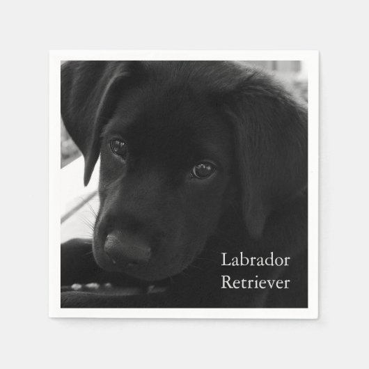 Labrador Retriever Puppy Serviette (Vorderseite)