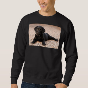 Labrador Retriever Puppy Sweatshirt