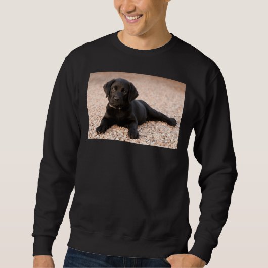 Labrador Retriever Puppy Sweatshirt (Vorderseite)