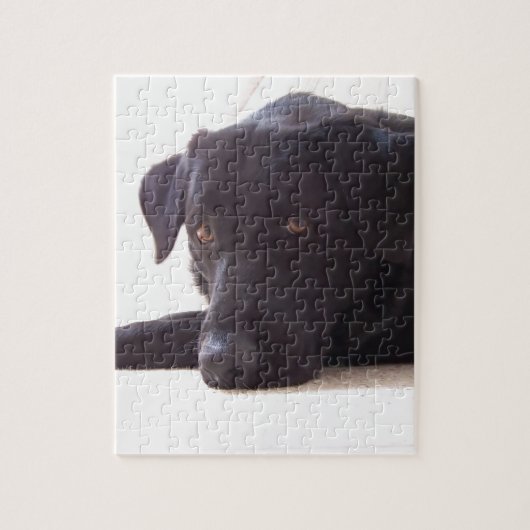 labrador retriever puzzle (Vertikal)