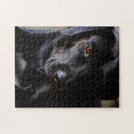 Labrador retriever puzzle (Horizontal)