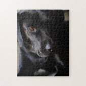 Labrador retriever puzzle (Vertikal)