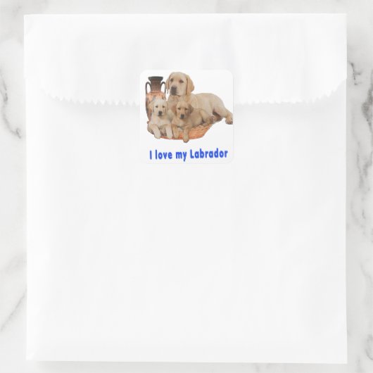 Labrador Retriever Quadratischer Aufkleber (Tasche)
