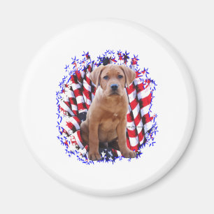 Labrador Retriever (rot) Patriot Magnet