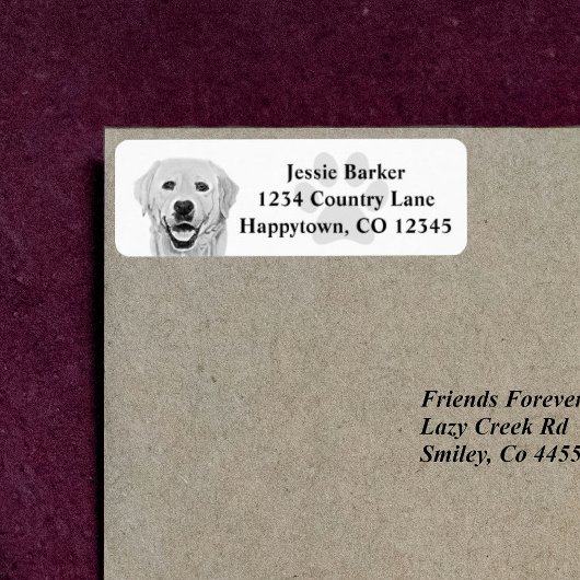 Labrador Retriever Rücksendeadresse