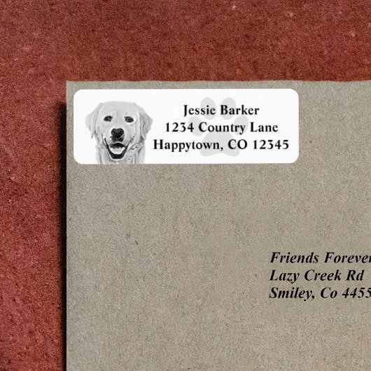 Labrador Retriever Rücksendeadresse