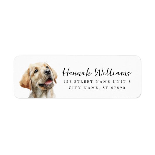 Labrador Retriever Rücksendeadressetiketten (Vorne)