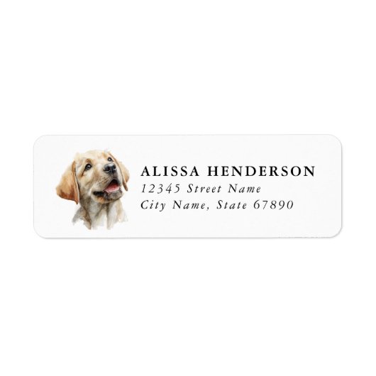 Labrador Retriever Rücksendeadressetiketten (Vorne)