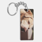 Labrador retriever schlüsselanhänger (Vorderseite links)