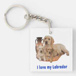 Labrador Retriever Schlüsselanhänger