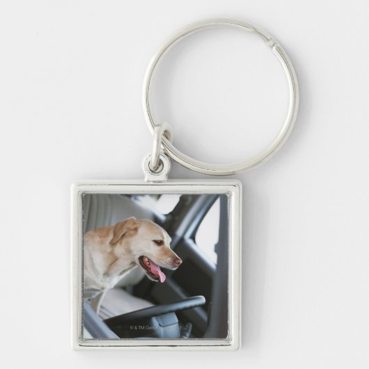 Labrador retriever schlüsselanhänger (Vorne)