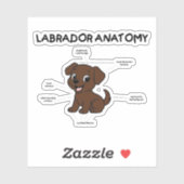 Labrador Retriever Schokolade Cartoon Anatomie Aufkleber (Blatt)