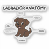 Labrador Retriever Schokolade Cartoon Anatomie Aufkleber (Vorderseite)