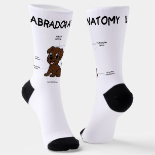 Labrador Retriever Schokolade Cartoon Anatomie Socken