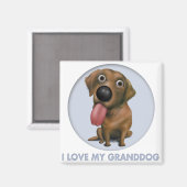 Labrador Retriever (Schokolade) Großhund Magnet (Vorderseite/Rückseite)