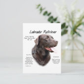 Labrador Retriever (Schokolade) Historisches Desig Postkarte (Stehend Vorderseite)