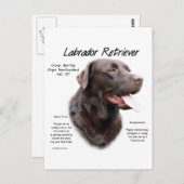 Labrador Retriever (Schokolade) Historisches Desig Postkarte (Vorne/Hinten)