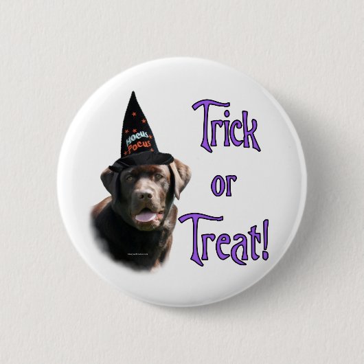 Labrador Retriever (Schokolade) Trick Button (Vorderseite)