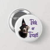 Labrador Retriever (Schokolade) Trick Button (Vorne & Hinten)