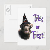 Labrador Retriever (Schokolade) Trick Postkarte (Vorne/Hinten)