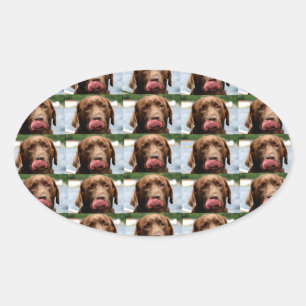Labrador Retriever Schokoladen-Kacheln BG Ovaler Aufkleber