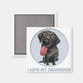 Labrador Retriever (Schwarz) Großhund Magnet (Vorderseite/Rückseite)