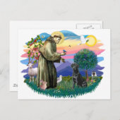 Labrador Retriever (schwarz) Postkarte (Vorne/Hinten)