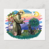 Labrador Retriever (schwarz) Postkarte (Vorderseite)