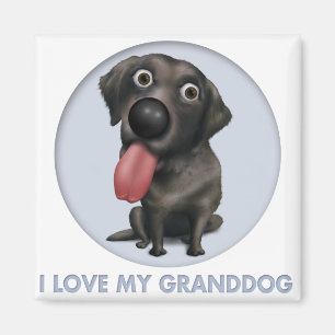 Labrador retriever (schwarzes) Granddog Magnet